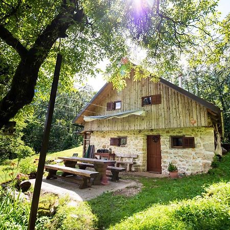 Miha Lodge - Mihcevo Plece Soca Exterior photo