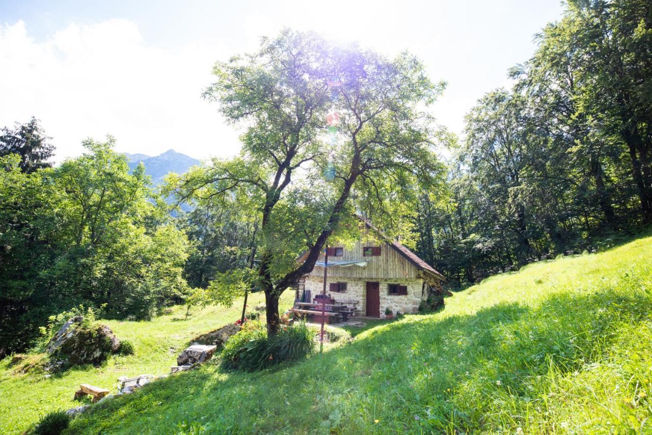Miha Lodge - Mihcevo Plece Soca Exterior photo